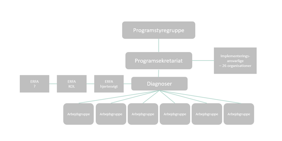 Organisering af Fælles Telemedicin Syd i Syddanmark